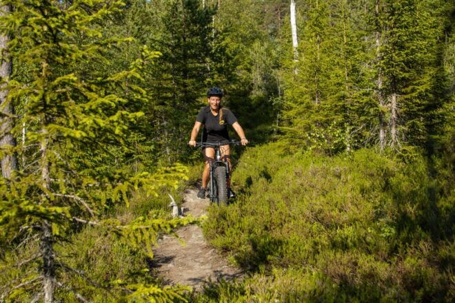 Voss - Mountain Bike – Bømoem Forest - Trail Highlights