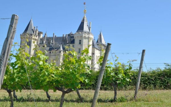 Vouvray Wine Half-Day Tour From Tours - What to Expect
