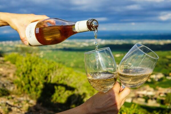 Vouvray Wine Half-Day Tour From Tours - Questions You May Have