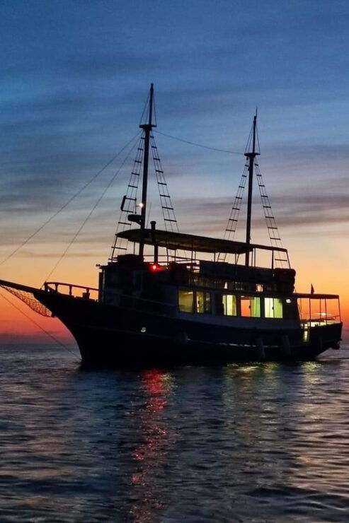Vrsar: Dolphin Safari With Included Drinks - Whats Included in the Tour