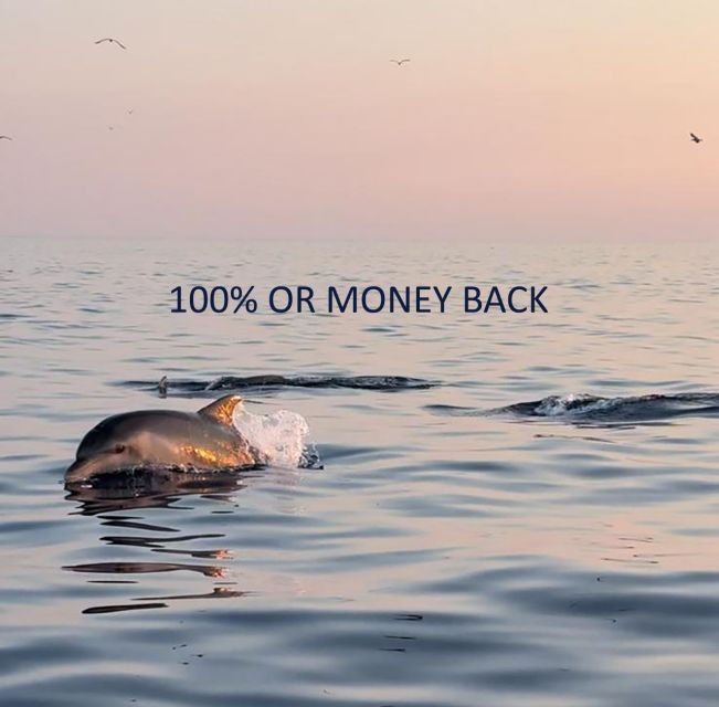 Vrsar: Dolphin Sunrise Adventure With Speedboat - Tour Duration and Guide