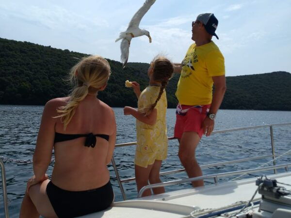 Vrsar: Dolphin Watching and Sightseeing Private Day Cruise - Possible On-Board Activities