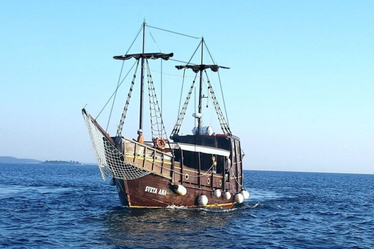 Vrsar: Dolphin Watching Boat Ride - Good To Know