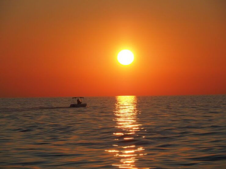 Vrsar: Dolphin Watching Boat Ride - Experience Duration and Starting Times
