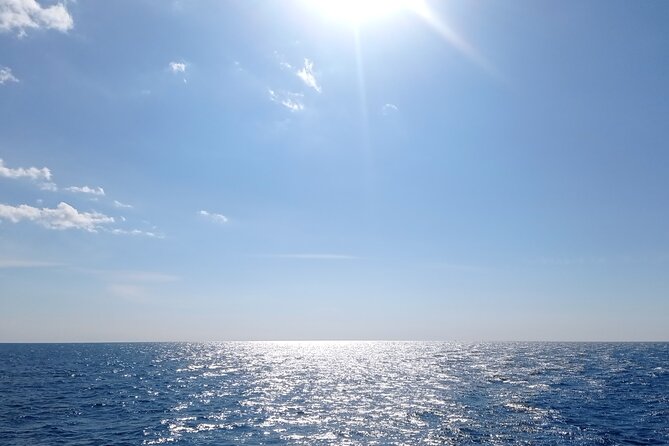 Vrsar, Lim Fjord and Rovinj Day Tour by Boat With Drinks - Booking Instructions