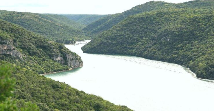 Vrsar: Lim Fjord Boat Tour With Swimming Near Pirate's Cave - Tour Overview