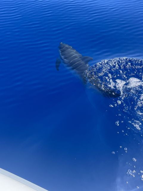 Vulcan and Lipari From Patti - Activities