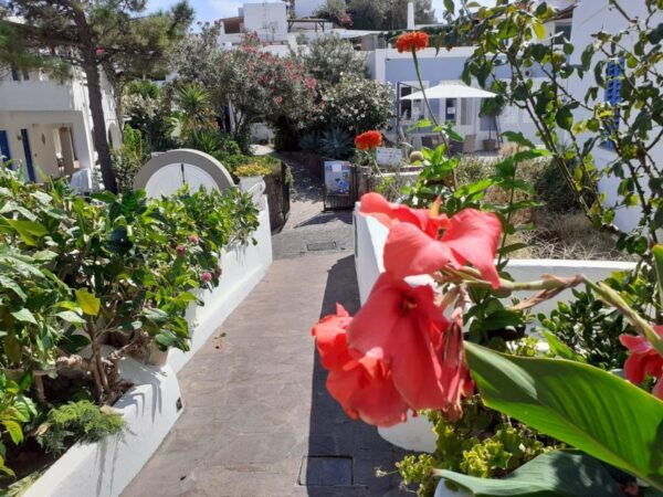 Vulcano, Panarea E Stromboli Full Day Tour From Lipari - The Sum Up