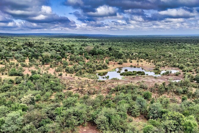 Vulture Experience With 4x4 Safari Drive - Booking Options and Reservations