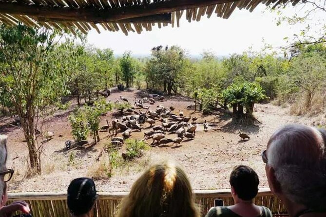 Vulture Experience With 4x4 Safari Drive - Frequently Asked Questions
