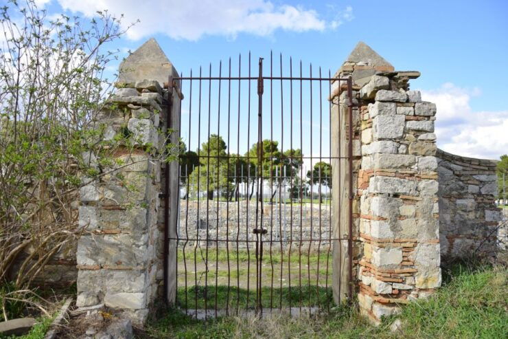 Vulture Tour: Venosa - Good To Know