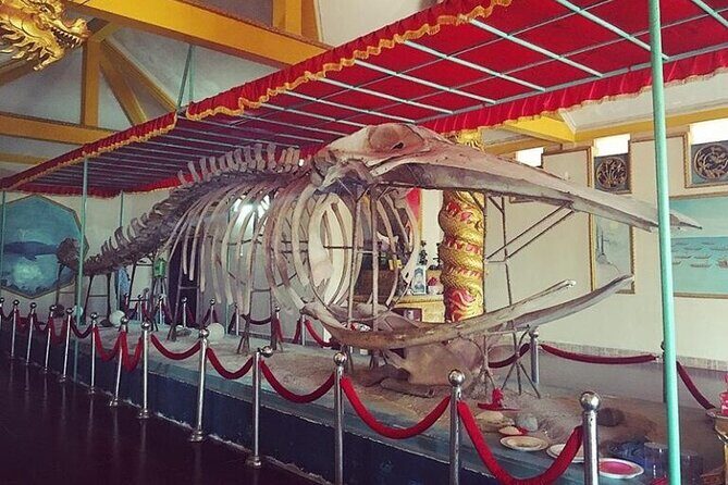 Vung Tau Discovery Private Coastal Journey from Phu My Port - Good To Know