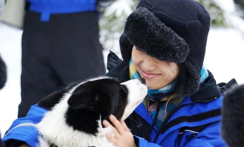 Vuokatti: Husky Sled Ride with Hot Berry Juice & Biscuits - Intro
