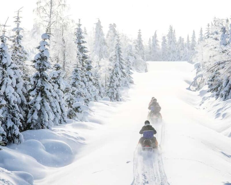 Vuokatti: Snowmobile Safari with Lunch at Haapala BnB - Safety, Requirements, and Practicalities