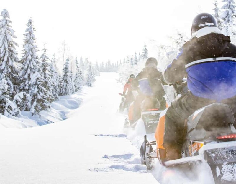 Vuokatti: Snowmobile Safari with Snacks and Hot Drinks - The Sum Up