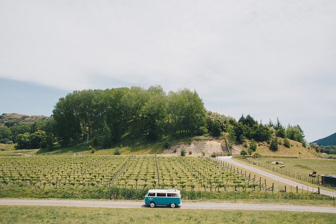 VW Kombi Napier/Hawkes Bay Scenic & Art Deco Tour - Additional Information for Travelers