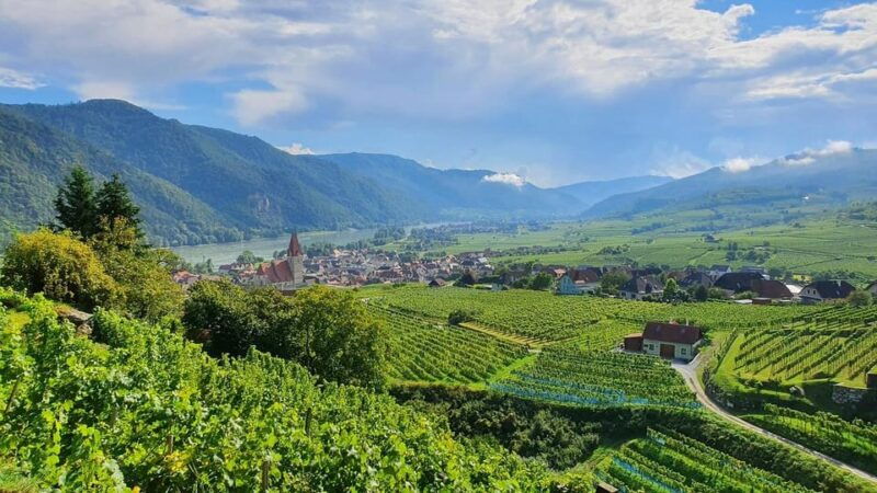 Wachau e-bike tour (Krems to Melk) incl. KTM rental bike - Final Thoughts  