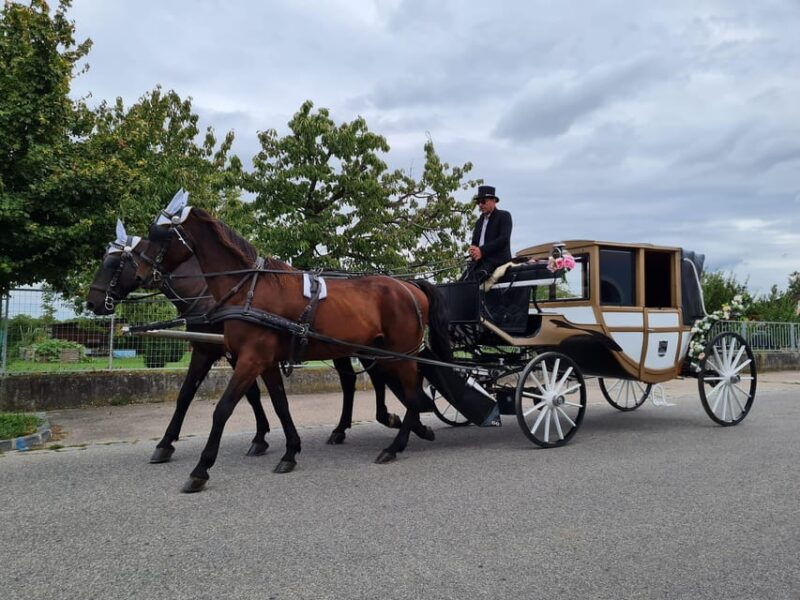 Wachau porcelain carriage A sparkling carriage ride through the vineyards - An Introduction to the Wachau Carriage Experience