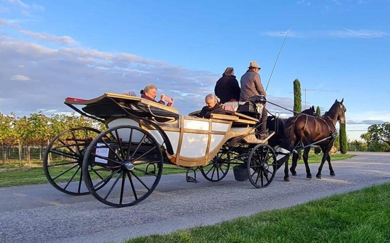 Wachau porcelain carriage A sparkling carriage ride through the vineyards - Practical Details That Matter