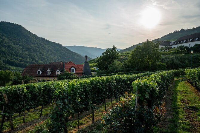 Wachau Valley Vines: A Culinary and Cultural Private Experience - Customer Reviews