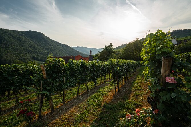 Wachau Valley Vines: A Culinary and Cultural Private Experience - Additional Information