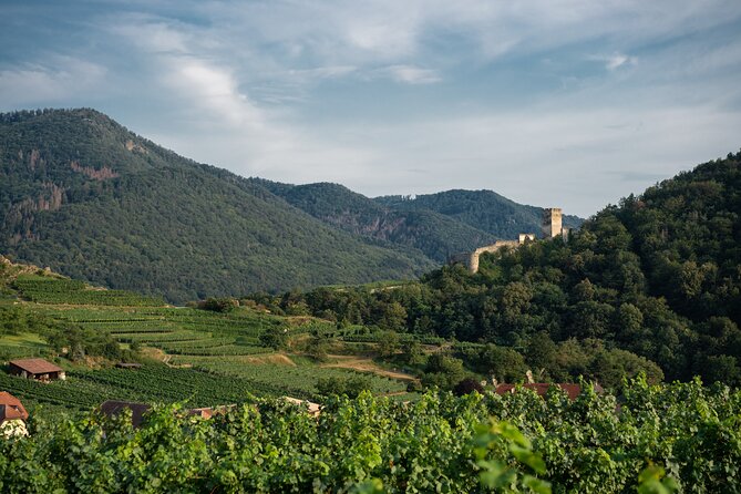 Wachau Valley Vines: A Culinary and Cultural Private Experience - Booking and Reservation Process