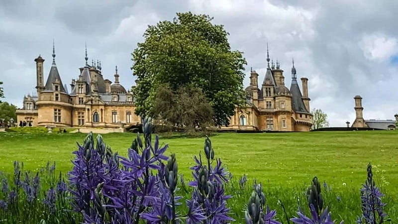 Waddesdon Manor & the Cotswolds, Cream Tea Experience option - Authentic Details from Reviews
