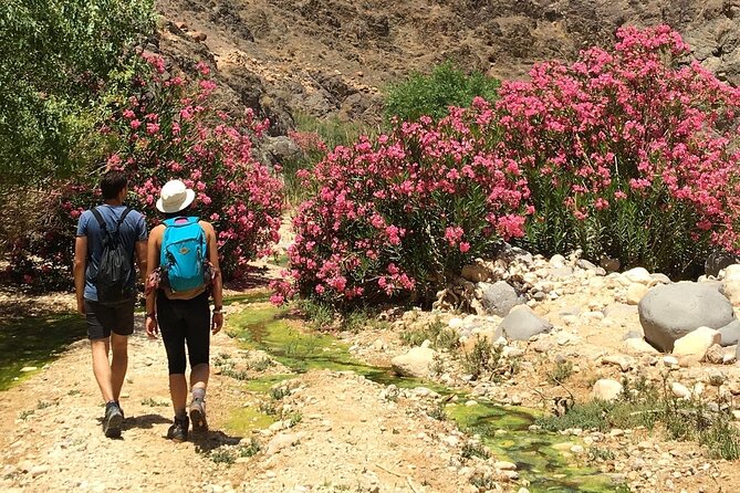 Wadi Al Ghuweir - Guided Hike Through a Spectacular Canyon With Water - Good To Know