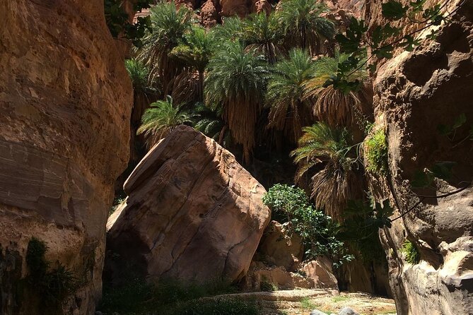 Wadi Al Ghuweir - Guided Hike Through a Spectacular Canyon With Water - Booking Details and Reviews