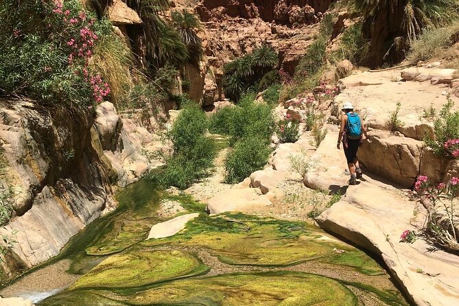 Wadi Al Ghuweir - Guided Hike Through a Spectacular Canyon With Water - Health and Accessibility Information