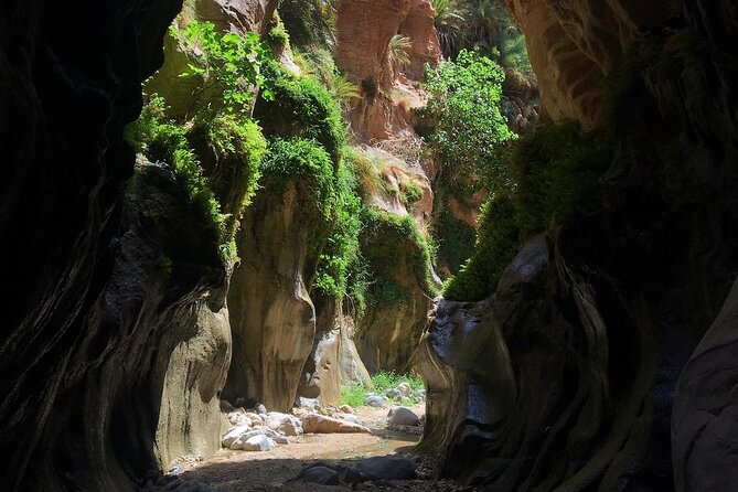 Wadi Al Ghuweir - Guided Hike Through a Spectacular Canyon With Water - Additional Considerations