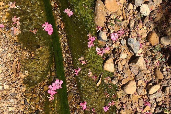 Wadi Al Ghuweir - Guided Hike Through a Spectacular Canyon With Water - Frequently Asked Questions