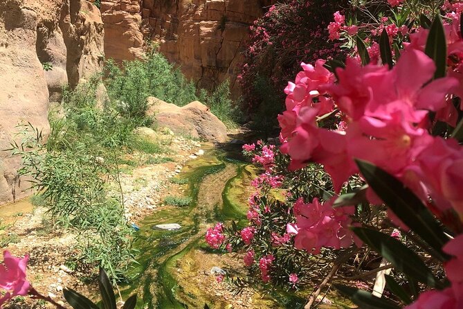 Wadi Al Ghuweir - Guided Hike Through a Spectacular Canyon With Water - The Sum Up