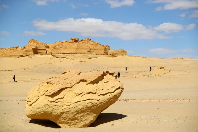 Wadi Al-Hitan Private Valley of the Whales Day Tour From Cairo - Good To Know