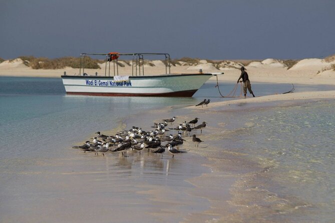 Wadi El Gamal Amazing Day Jeep Safari Full Day With Bedouin Dinner - Marsa Alam - Customer Reviews
