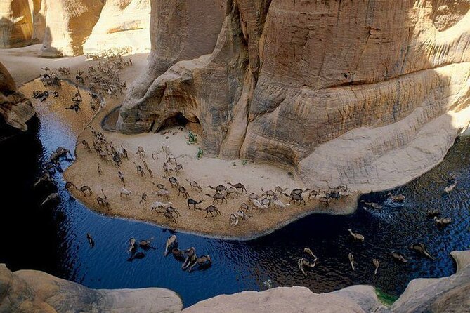 Wadi El Gemal National Park Hald Day Trek in Marsa Alam - Customer Service Contact Information