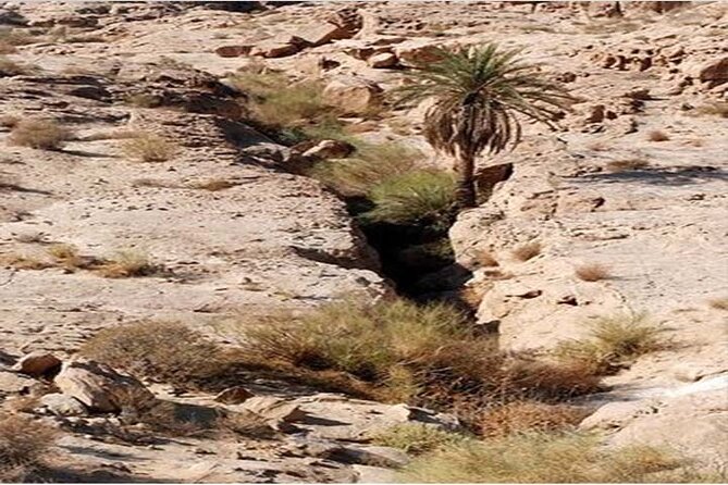 Wadi Mujib Ibex Trail Hiking Experience With Amman Tour & Panorama Dead Sea - Safety Precautions
