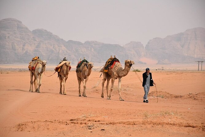 Wadi Rum Full-Day Private Tour From Amman or Airport - Additional Information