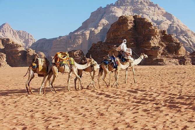 Wadi Rum & Petra Shore Excursion 2 Day 1 Night Alternative - Additional Information