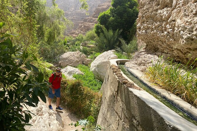 Wadi Tiwi Adventure With Local Guide - Activity Overview