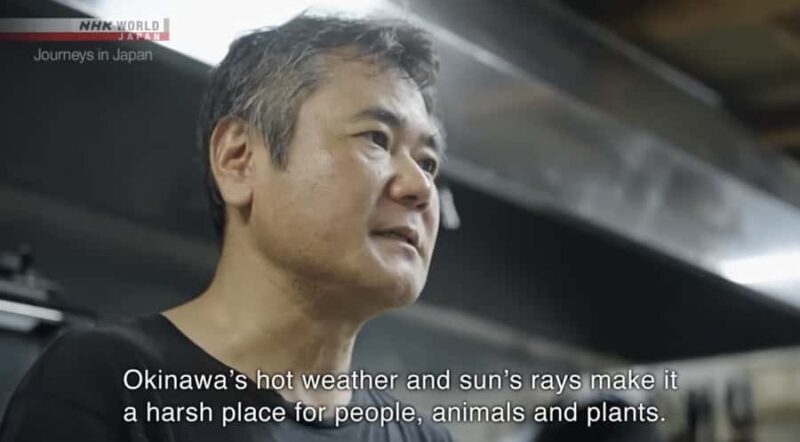 Wagyu steak & Traditional cooking at Ufuyaa - Who Will Love This Tour?