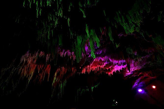 Wai O Tapu Secret spot Hot Tubs and Waitomo Glowworm Caves Tour - Who Will Love This Tour?