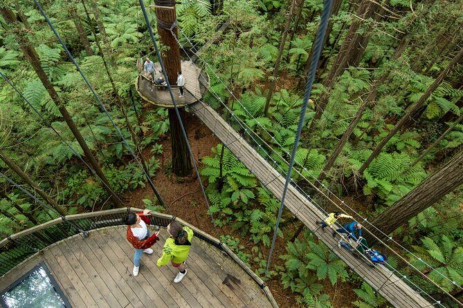 Wai O Tapu Thermal Wonderland with Forest Walk or Forest Spa - Who Would Love This Tour?
