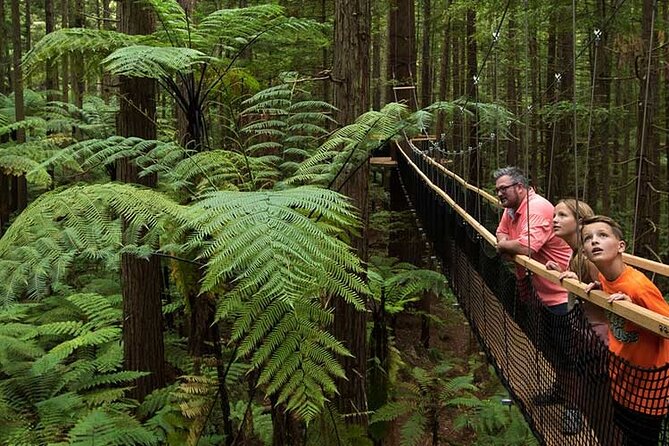 Wai-O-Tapu to Redwoods and Secret Spot - Secret Spot: Hidden Gem