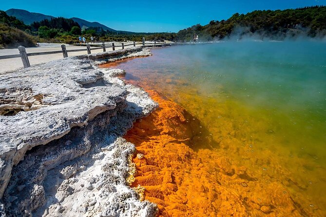 Wai-O-Tapu to Redwoods and Secret Spot - The Sum Up