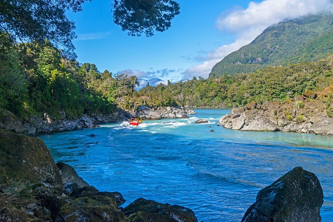 Waiatoto River Safari - Native Species to Watch for in the Clear Waters