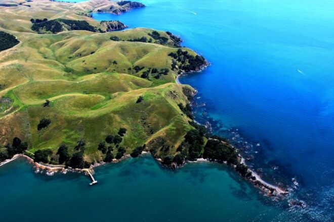 Waiheke Island: 30-Minute Scenic Flight - Positive Customer Review