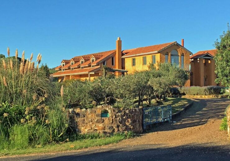 Waiheke Island: 5-Hour Guided Art Exploration Walk - Activity Details