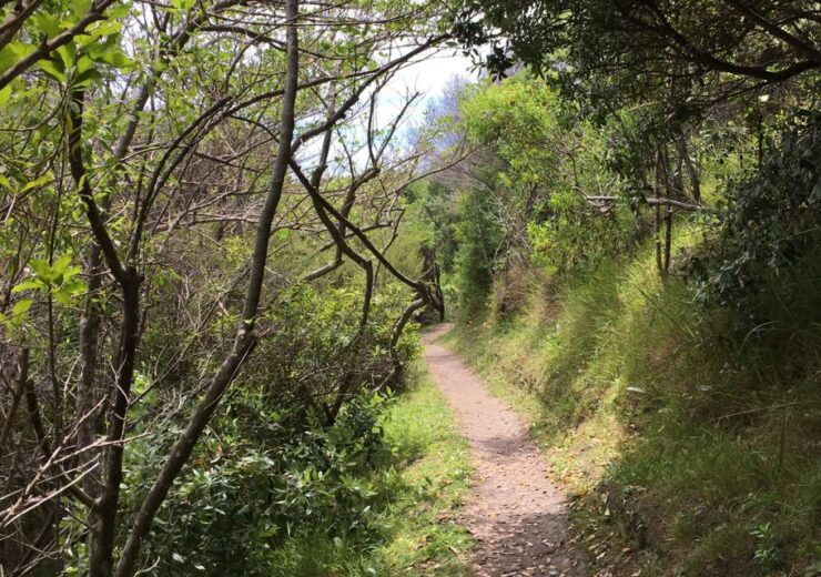 Waiheke Island: 5-Hour Guided Art Exploration Walk - Experience Highlights