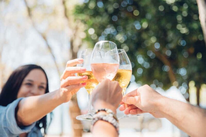 Waiheke Island: Afternoon Wine Tour with Oceanfront Lunch - Good To Know